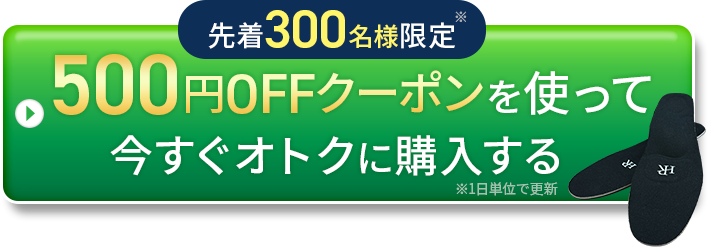 500円オフクーポンを使ってお得に購入する